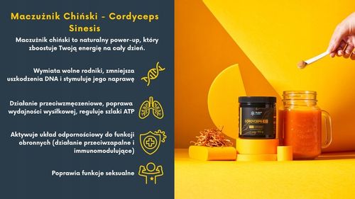 Cordyceps - Maczużnik Chiński 20:1 60g Slavic Labs na Arena.pl