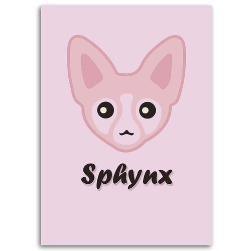 Deco Panel, Różowy sfinks 40x60 na Arena.pl