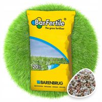 NAWÓZ DO TRAWY BARENBRUG 20KG EKO DŁUGODZIAŁAJĄCY XXL