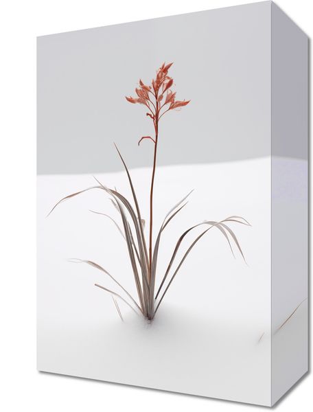 Obraz 20x30cm Subtelność Natury zdjęcie 1