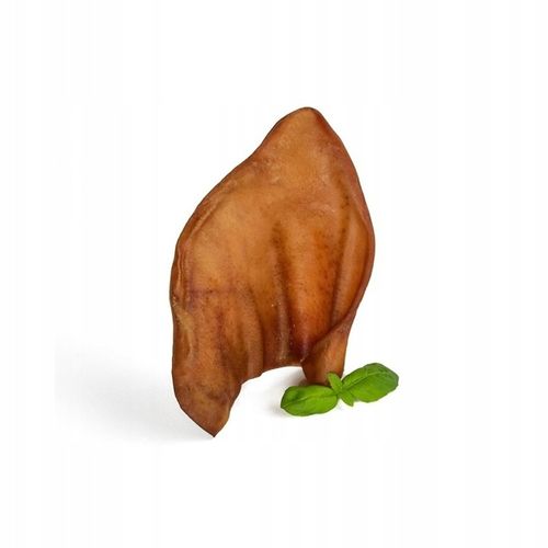 Przysmak, naturalny gryzak dla psa Ucho Wieprzowe Petmex 10 szt. na Arena.pl