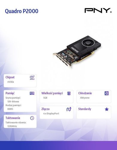 Quadro P2000 5GB VCQP2000-PB na Arena.pl
