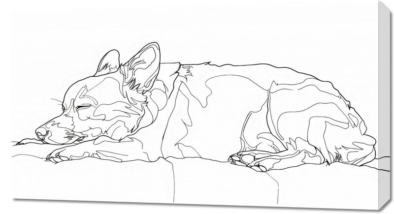 Obraz 90x50cm Śpiący Psiak zdjęcie 1