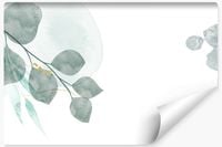 Fototapeta Akwarelowe LIŚCIE Eukaliptusa Styl Boho Do Salonu 400cm x 280cm