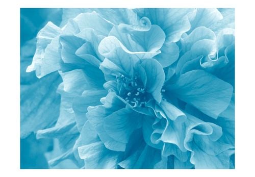 Fototapeta - Blue azalea 400x309 na Arena.pl