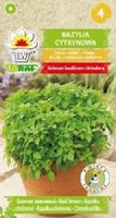 Bazylia cytrynowa nasiona 0,5 g. zioła