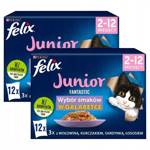 FELIX FANTASTIC Junior Mokra karma Saszetki Kurczak PACK 24x85g na Arena.pl