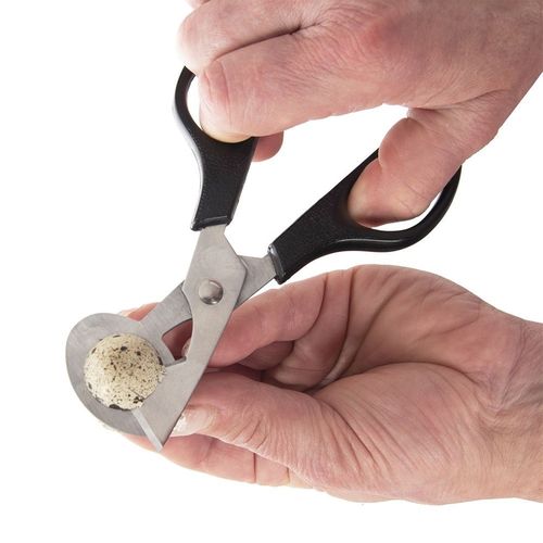 Obcinacz do jajek stalowy 14,5 cm na Arena.pl