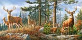 PUZZLE 4000el. Rodzina jeleni CASTOR C-400317-2
