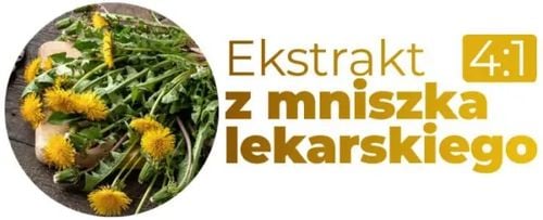 TABLETKI ZMNIEJSZAJĄCE APETYT + SPALACZ TŁUSZCZU, usuwanie wody - Burn Dry na Arena.pl