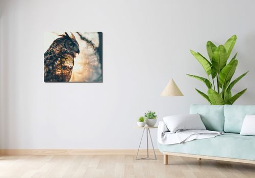 Obraz 70x60cm Sowi Duch na Arena.pl