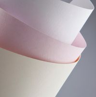 Karton Ozdobny Floryda Biały A4 220G/M2 (20) 7961