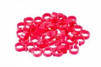 Obrączki znaczniki 8mm x 5mm dla gołębi  50 sztuk