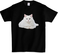 Koszulka T-shirt Kot