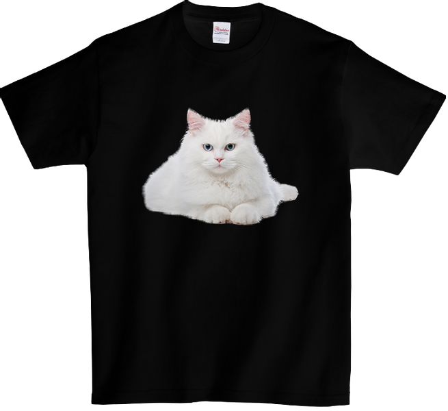 Koszulka T-shirt Kot zdjęcie 1