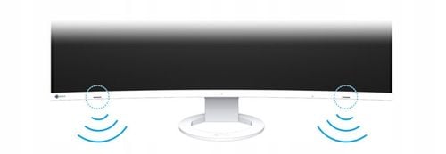 Monitor LED 32" Eizo EV3895-BK Curved na Arena.pl