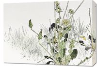 Obraz 70x50cm Wild Dandelions, Seitei Japoński Vintage