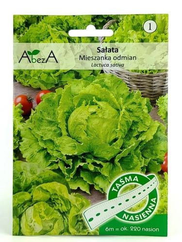 ZESTAW 2240 Sprawdzonych Nasion Warzyw na taśmie na Arena.pl