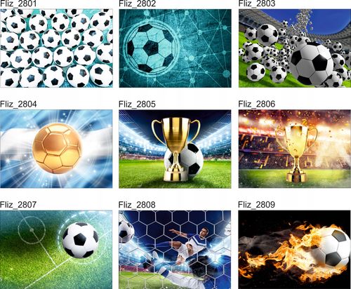 FOTOTAPETY piłkarskie sportowe PIŁKA NOŻNA 200x130 na Arena.pl