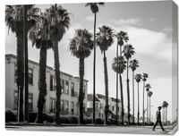 Obraz 90x70cm Spacer w Cieniu Palm