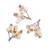 GAŁĄZKI Z JAGODAMI, 3 SZT ECRU DPZA-099 DP CRAFT