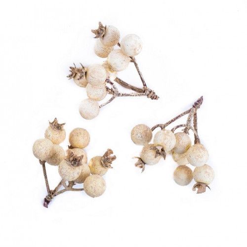 GAŁĄZKI Z JAGODAMI, 3 SZT ECRU DPZA-099 DP CRAFT na Arena.pl