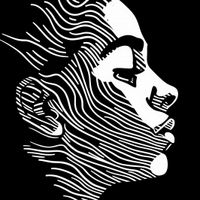 Plakat 70x70cm Linie Wyrazu