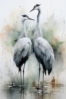 Plakat 68x101cm Tańczące Czaple