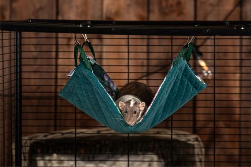 Kraina Tuptusia hamak dla fretki 30x50cm na Arena.pl