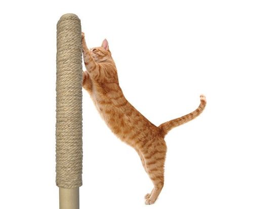 Linka jutowa do drapaka -10m/10mm na Arena.pl