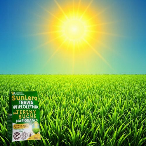 Trawa Nasiona Uniwersalna 5kg na Tereny Suche Trawnik 200m2 Mieszanka Traw na Arena.pl
