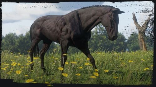 Red Dead Redemption 2 PC STEAM ROCKSTAR Special na Arena.pl