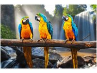 60X40CM TRZY ARY OBRAZ