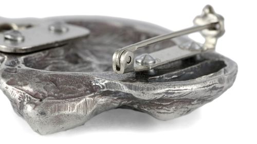 Spaniel Angielski Springer - klips - 2561 na Arena.pl