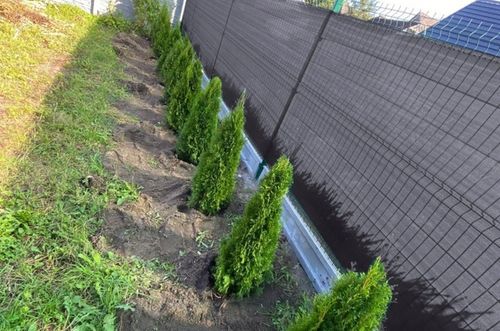 SIATKA CIENIUJĄCA 1,5x25m MASKUJĄCA OSŁONA NA OGRODZENIE PŁOT 75% +UV na Arena.pl