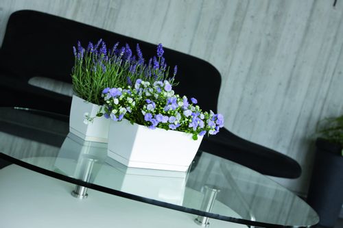 Doniczka COUBI DUPP400 z podstawką | Biały, Kształt Prostokątny, Wymiary 19x39x18 cm, Kolor Biały, Prosperplast na Arena.pl