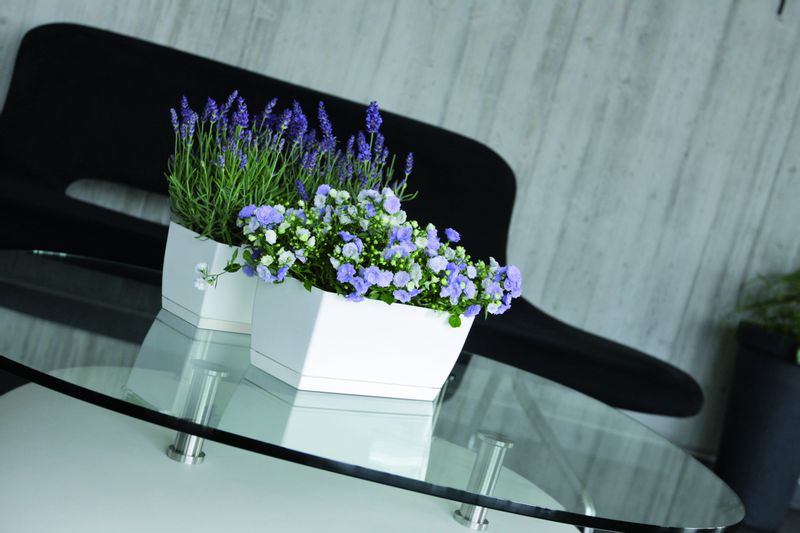 Doniczka COUBI DUPP400 z podstawką | Biały, Kształt Prostokątny, Wymiary 19x39x18 cm, Kolor Biały, Prosperplast zdjęcie 2