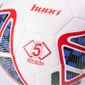 thumbnail-1