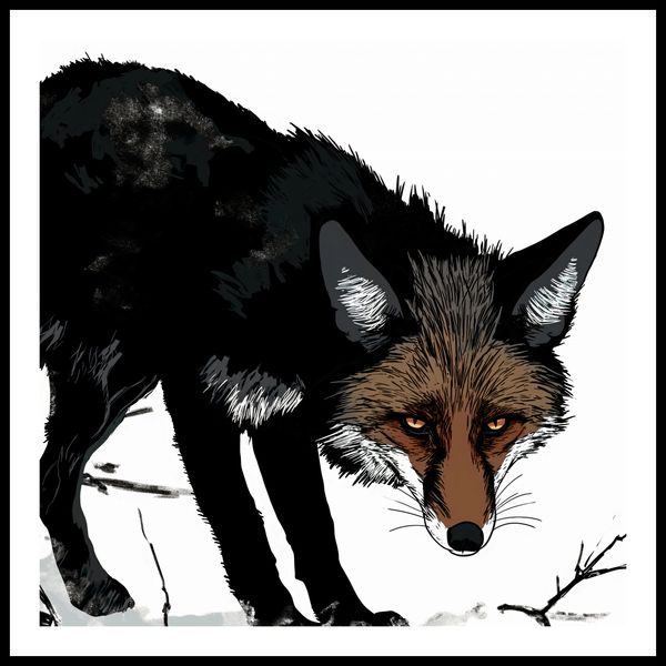 Plakat 90x90cm Nieufny Lis zdjęcie 3