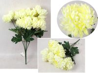 bukiet chryzantema wys. 55 cm, 7 łodyg (7 kwiatów 14x5 cm) biała mh-002d