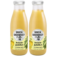 Bracia Sadownicy Lemoniada letnie jabłko z cytryną i miętą 750 ml x 2 sztuk