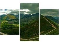 product-compare-58646129