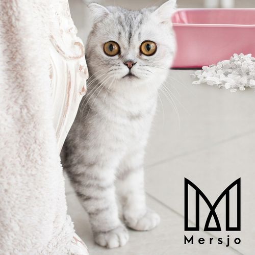 8x ŻWIREK SILIKONOWY dla kota PREMIUM bezpyłowy naturalny Mersjo 3,8L na Arena.pl