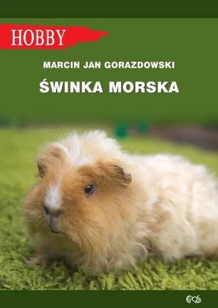 Książeczka zdrowia kota międzynarodowa zdjęcie 3