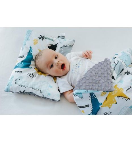 Kocyk Minky 100x135cm (Dinozaury) na Arena.pl