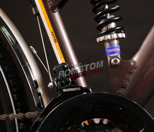 Kross Go Sport Future 26" na Arena.pl