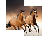 60X60CM STADO KONI DWU OBRAZ ŚCIAN