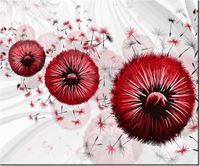 60CM 50CM OBRAZ ŚCIENNY CZERWONY DMUCHAWCE 4 DRUK PŁÓTNO