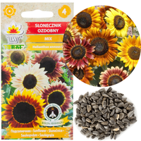 SŁONECZNIK OZDOBNY MIX WIELOPĘDOWY NASIONA 2G ROŚLINA JEDNOROCZNA MIODODAJN