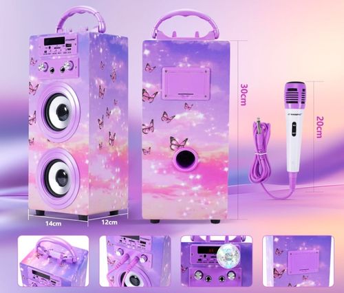 DYNASONIC BLUETOOTH KARAOKE Z MIKROFONEM GŁOŚNIK PREZENT DLA DZIECKA na Arena.pl